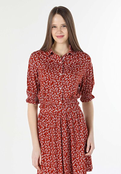 Image de T-shirt À Manches Courtes Marron Regular Fit  Femme