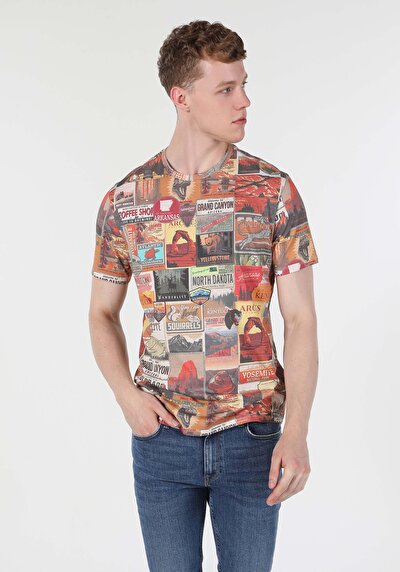 Image de T-shirt À Manches Courtes Multicolou Regular Fit  Homme