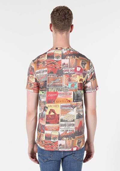 Image de T-shirt À Manches Courtes Multicolou Regular Fit  Homme