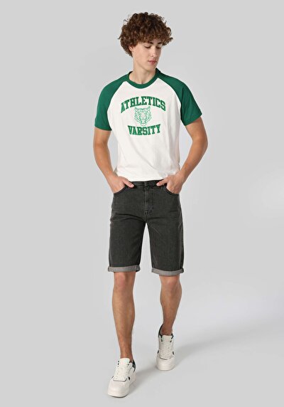 Afficher les détails de Short Gris Regular Fit Homme