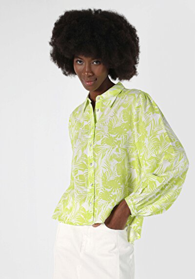 Image de Chemise À Manches Longues Vert Regular Fit   Femme