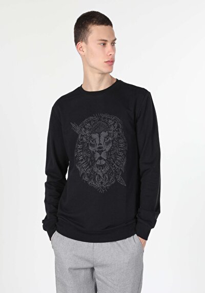 Image de Pull-over Noir Regular Fit  Homme