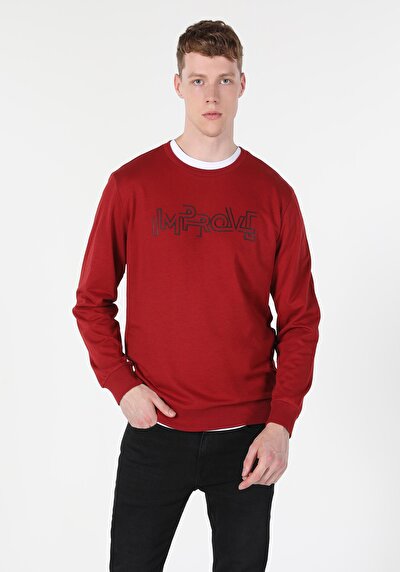Image de Pull-over Rouge Regular Fit  Homme