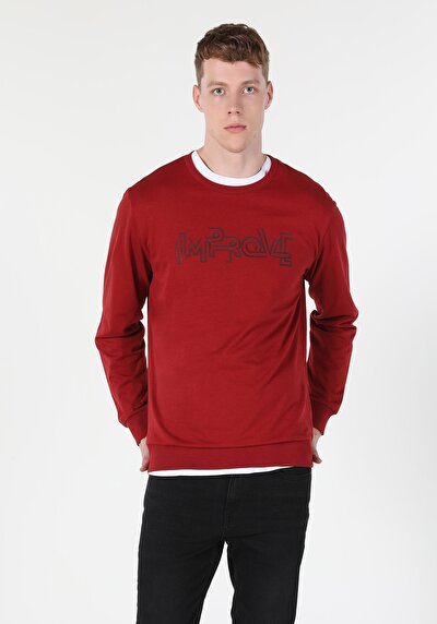 Image de Pull-over Rouge Regular Fit  Homme