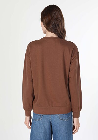 Image de Pull-over Marron Regular Fit  Femme