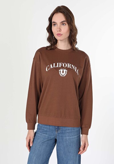 Image de Pull-over Marron Regular Fit  Femme