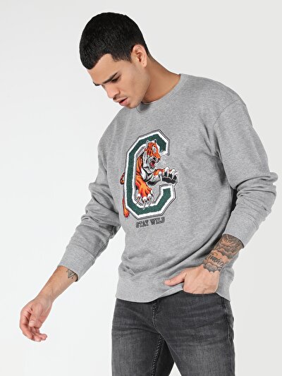 Image de Pull-over Gris Comfort Fit  Homme