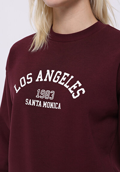 Image de Pull-over Bordeaux Regular Fit  Femme