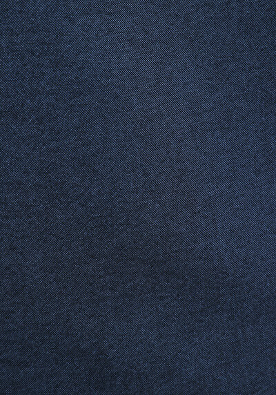 Image de Chemise À Manches Longues Marine Regular Fit Droit Oxford Homme