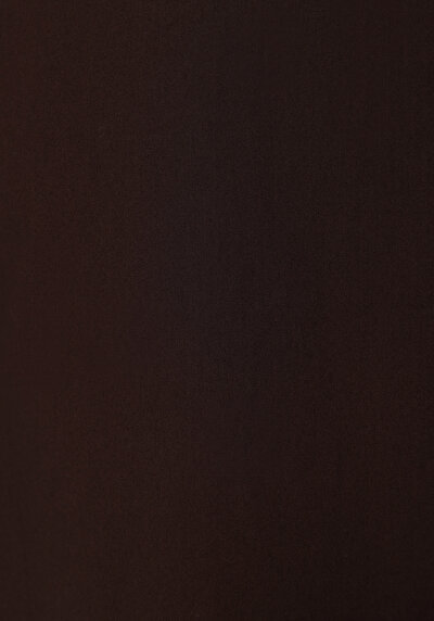Image de Robe Marron Regular Fit    Femme