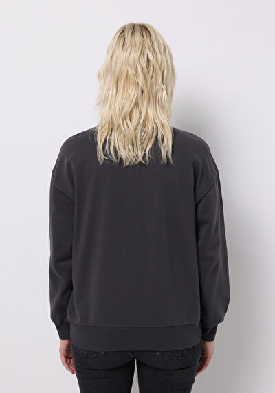 Image de Pull-over Anthracite Regular Fit  Femme