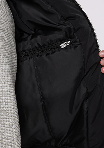Afficher les détails de Veste Noir Regular Fit    Homme