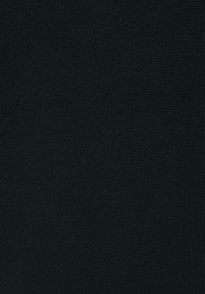 Image de Pull Vert Regular Fit Manches Longues  Homme