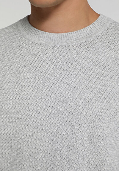 Image de Pull Gris Regular Fit Manches Longues Homme