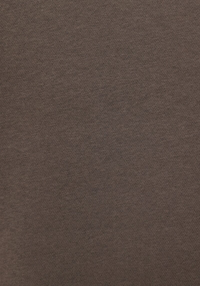 Image de Pull-over Marron Regular Fit  Homme