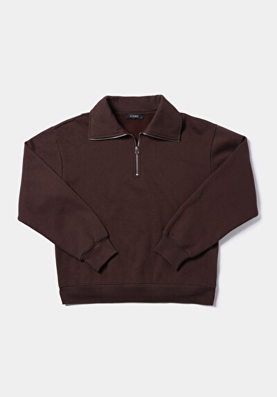 Image de Pull-over Marron Regular Fit  Femme
