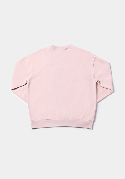 Afficher les détails de Pull-over Rose Regular Fit  Femme