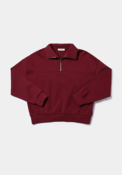 Image de Pull-over Bordeaux Regular Fit  Femme