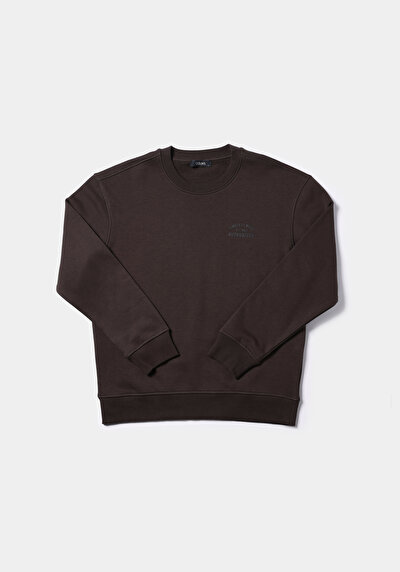 Image de Pull-over Marron Comfort Fit  Homme