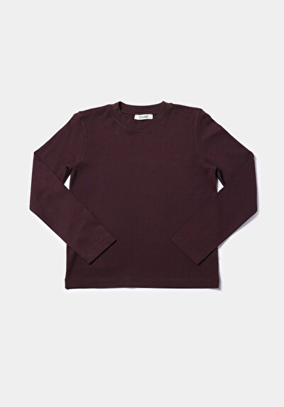 Image de T-shirt À Manches Longues Violet Regular Fit  Femme