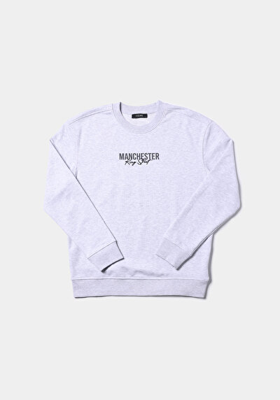 Image de Pull-over Gris Comfort Fit  Homme