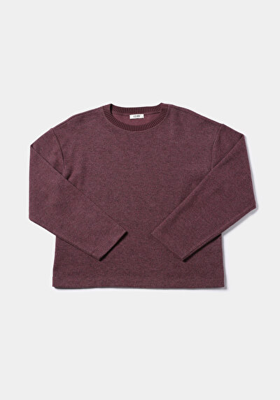 Image de T-shirt Violet Regular Fit Manches Longues  Femme
