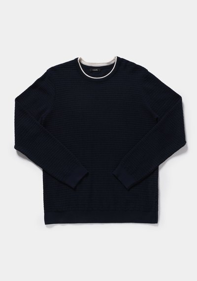 Image de Pull Marine Regular Fit Manches Longues  Homme