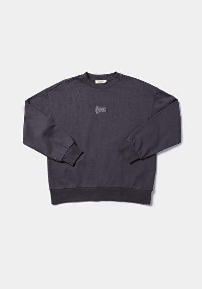 Image de Pull-over Anthracite Regular Fit  Femme
