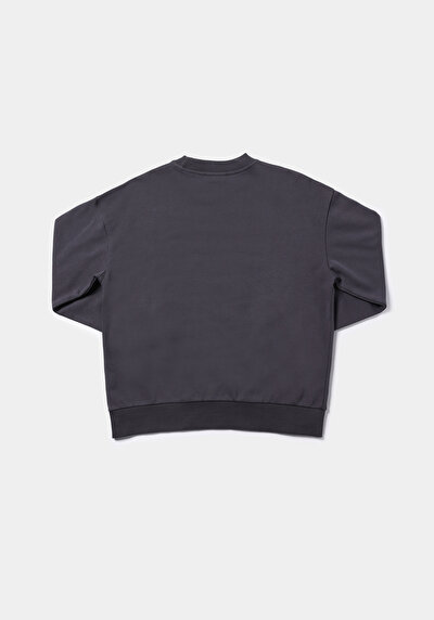 Afficher les détails de Pull-over Anthracite Regular Fit  Femme