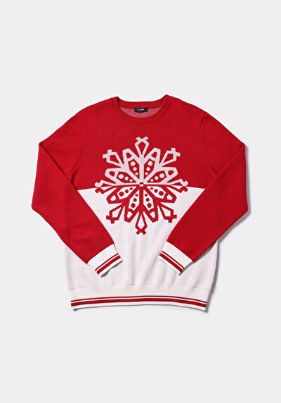 Image de Pull Rouge Regular Fit Manches Longues  Homme
