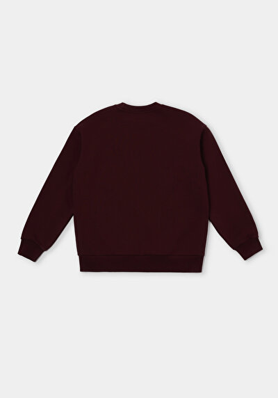 Image de Pull-over Bordeaux Regular Fit  Femme