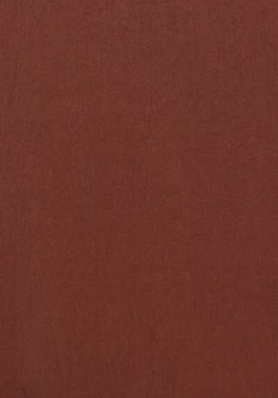Afficher les détails de Gilet Marron Regular Fit Femme