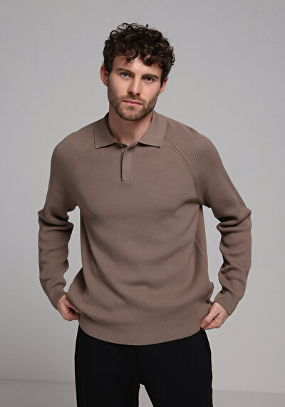 Image de Pull Marron Regular Fit Manches Longues Homme
