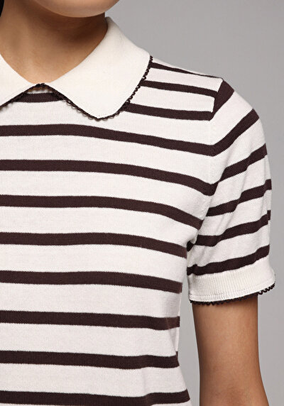 Image de Tricot Marron Slim Fit Femme