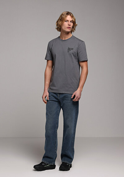 Image de T-shirt À Manches Courtes Gris Regular Fit Droit Homme