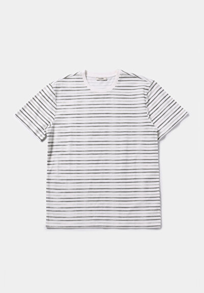 Image de T-shirt À Manches Courtes Vert Regular Fit Rayé Homme