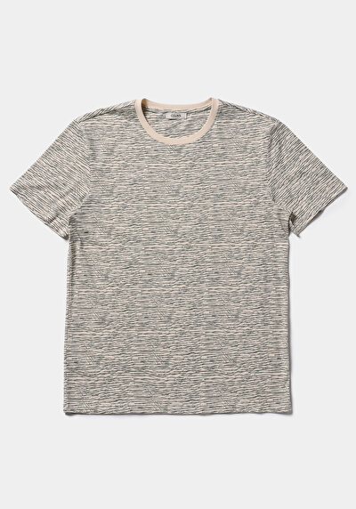 Image de T-shirt À Manches Courtes Beige Regular Fit Imprimé Homme