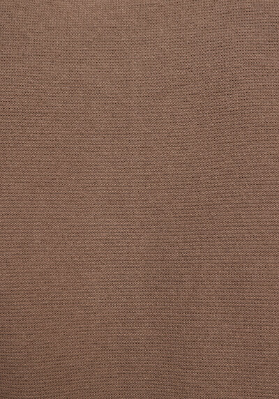 Image de Tricot Marron Regular Fit  Homme