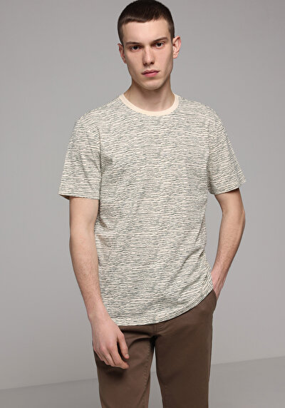Image de T-shirt À Manches Courtes Beige Regular Fit Imprimé Homme