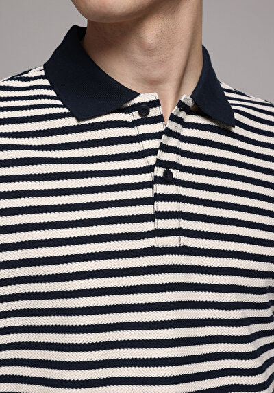 Image de T-shirt Polo À Manches Courtes Marine Rayé Regular Fit Homme