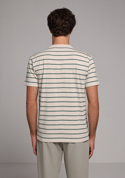 Image de T-shirt À Manches Courtes Beige Regular Fit Rayé Homme