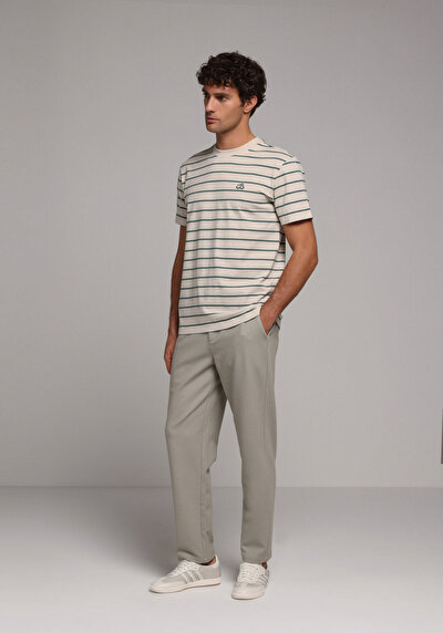 Image de T-shirt À Manches Courtes Beige Regular Fit Rayé Homme