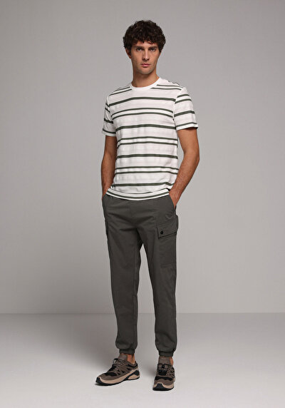 Image de T-shirt À Manches Courtes Blanc Regular Fit Rayé Homme