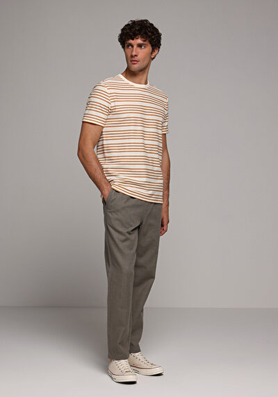Image de T-shirt À Manches Courtes Marron Regular Fit Rayé Homme