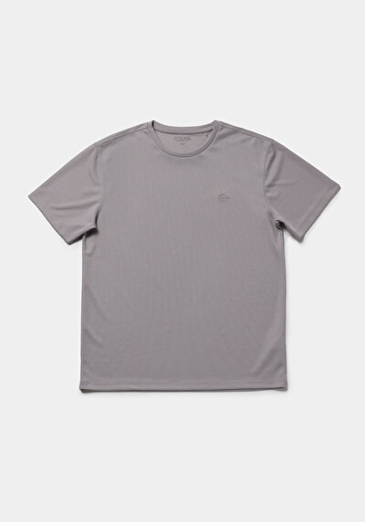 Image de T-shirt À Manches Courtes Gris Regular Fit Droit Homme