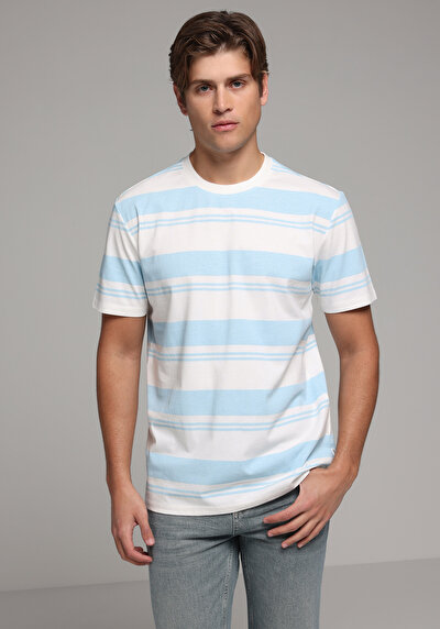 Image de T-shirt À Manches Courtes Bleu Regular Fit Rayé Homme
