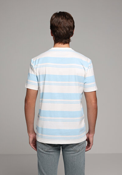 Image de T-shirt À Manches Courtes Bleu Regular Fit Rayé Homme