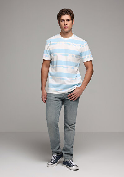Image de T-shirt À Manches Courtes Bleu Regular Fit Rayé Homme