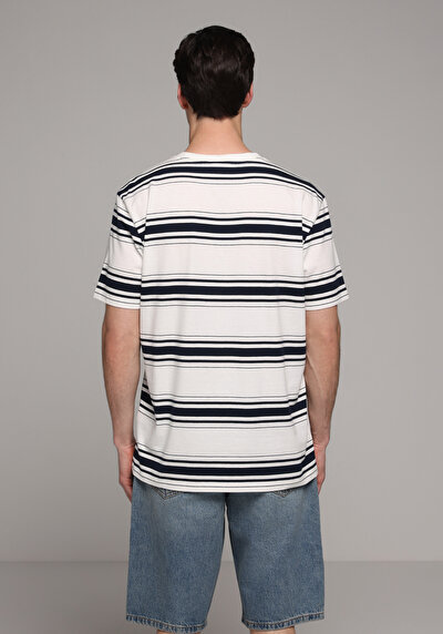 Image de T-shirt À Manches Courtes Blanc Regular Fit Rayé Homme
