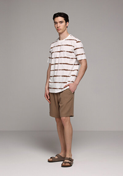 Image de T-shirt À Manches Courtes Marron Regular Fit Rayé Homme